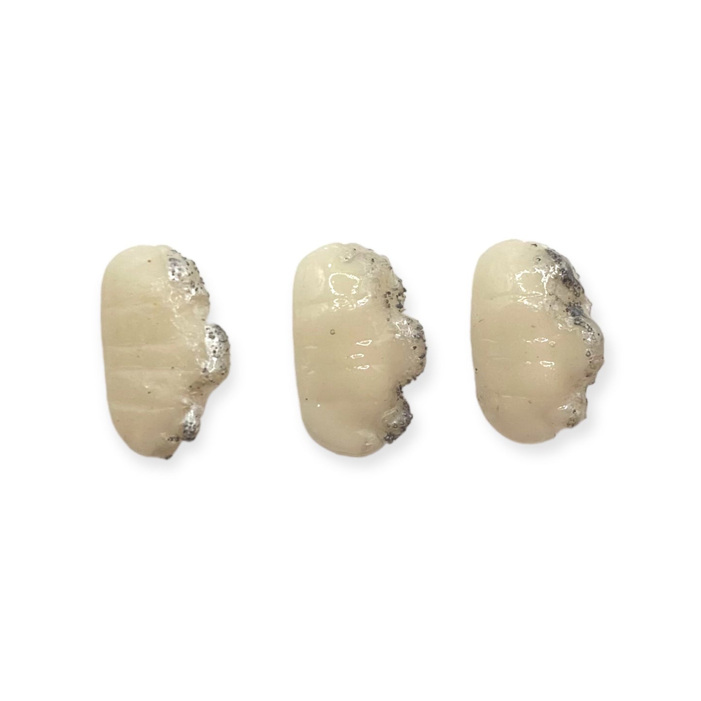Sushi Charms 3pcs Oyster