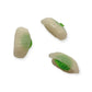 Sushi Charms 3pcs Squid Shiso