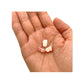 Sushi Charms 3pcs Octopus